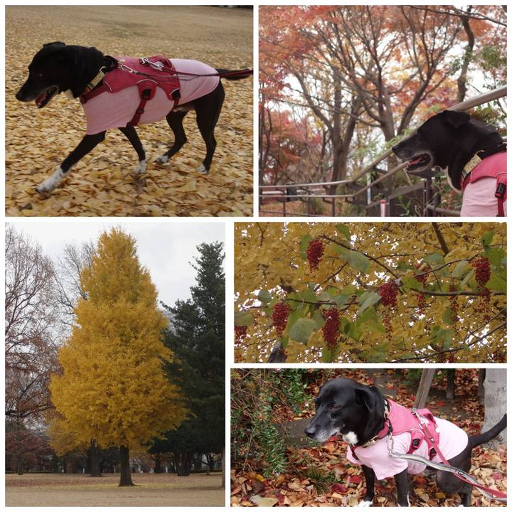 278665cb 6320 418f b1bf 29f65c85a215 1702256031519