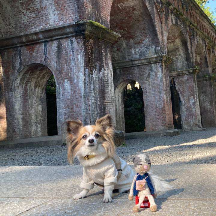 27866ca6 2f49 42d5 b101 bdf3772b01e6 1763023928535