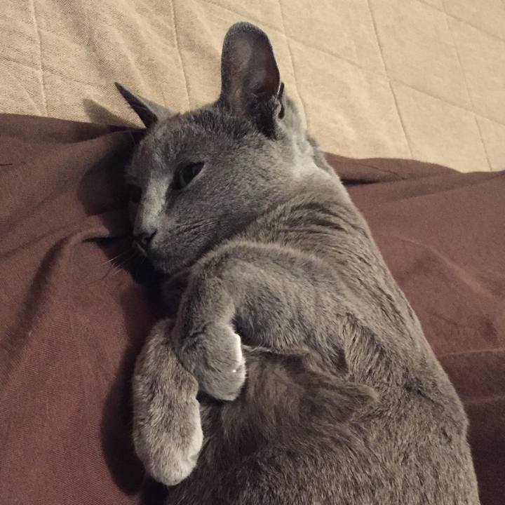 2786c7b8 43e4 48f7 ab32 7085e6575891 1513559622042