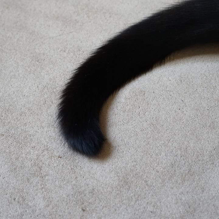 2786ce1d ebaf 4d84 b291 0e91cbffff7e 1522108256562