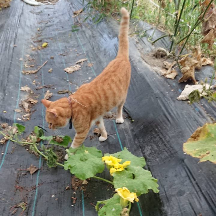 278700a9 7af0 4516 af7e 63bcd234b06b 1567976145791