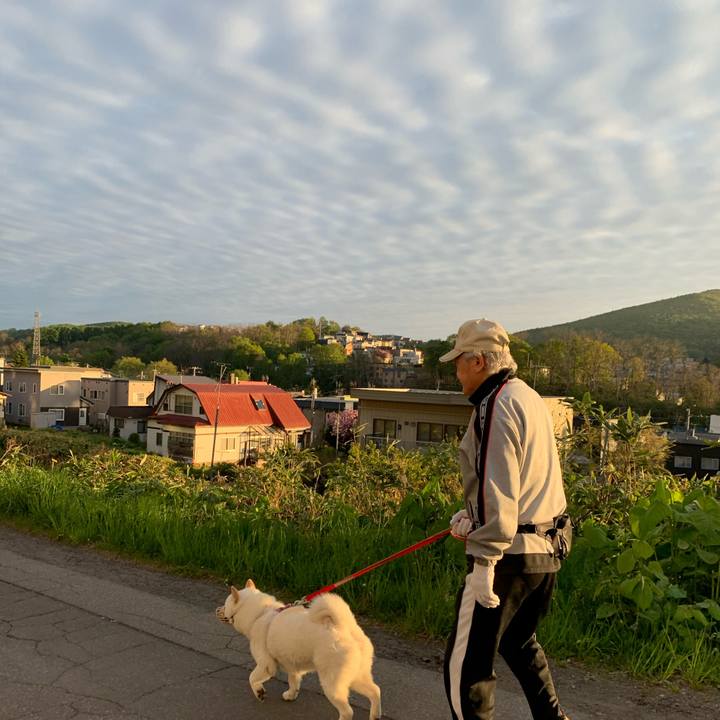 27870403 e2df 47de ae59 f328d8c85610 1590093280517