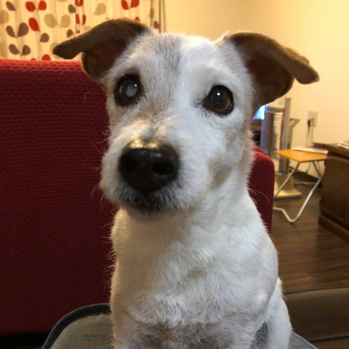 27872f57 fad9 4277 8453 b9d1f30de4af 1518782143225