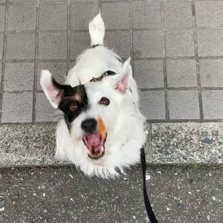 278767b1 cbbe 4892 ba14 b977520fa3f3 1661761948660