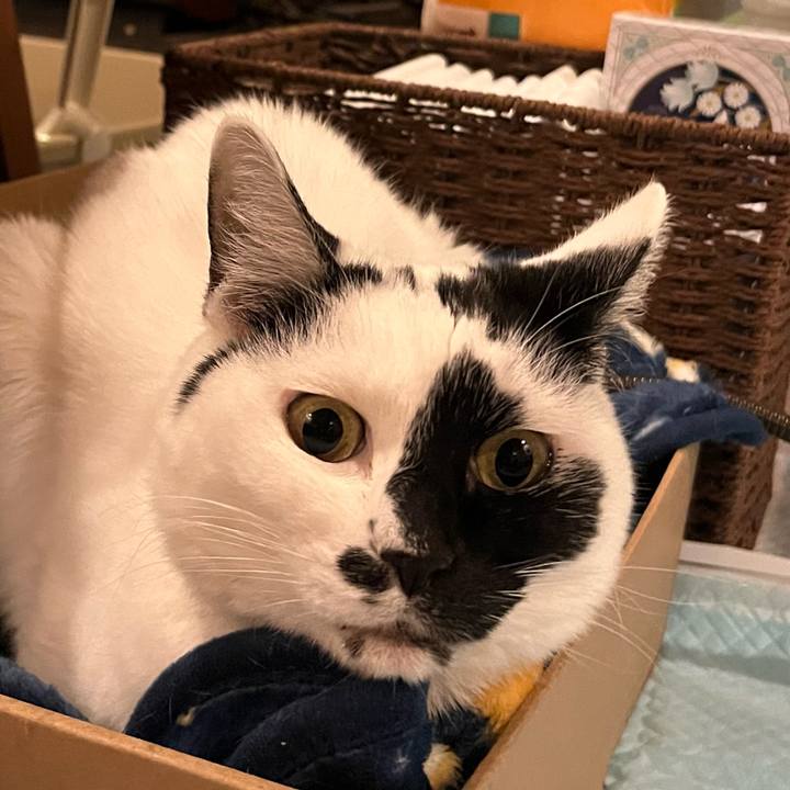 27878605 d175 4d1f aafb bd6611243a48 1765591461874