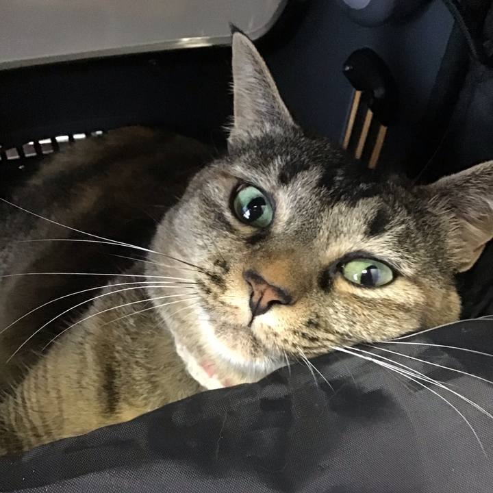 27878665 560a 4ccf 9100 b7bce56b138a 1722243702883