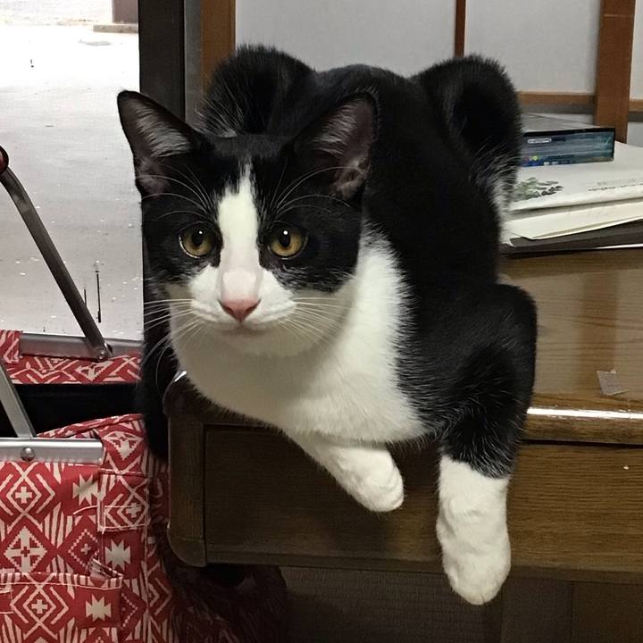 2787a106 d624 40fe a9d9 59037e708233 1633857157129