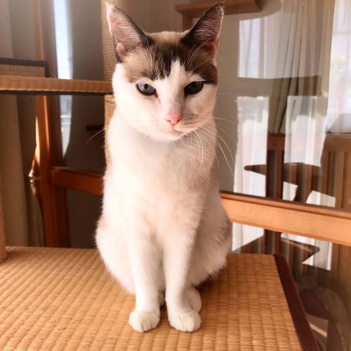 2787ca0a 6eee 4cc7 a50e 4a215ad5d3fc 1604382047085