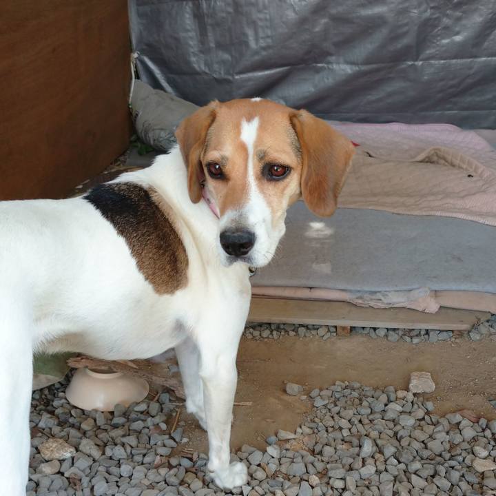 2787f05d 12c7 4d4b 9841 fff7e2a74e94 1600504472688