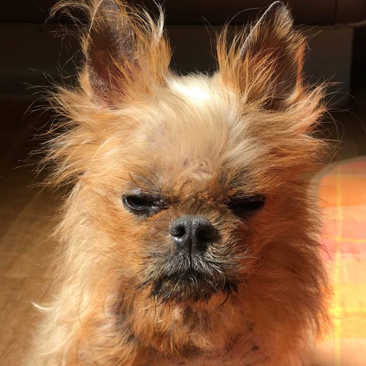 2787f17c 339a 41c1 8ebc 7bc3ad75a46a 1552875462204