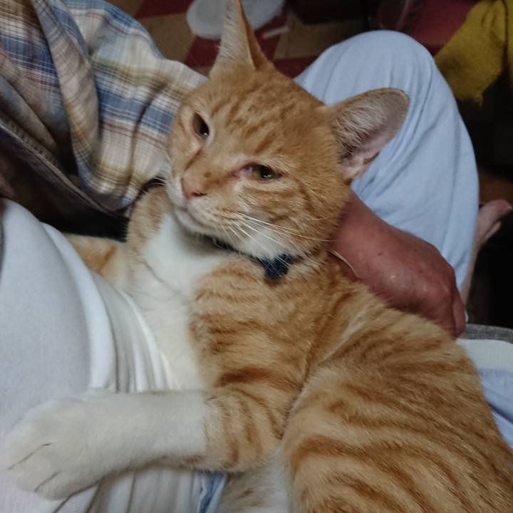 27882880 3c40 4899 8890 7a8642c9d804 1568498030044