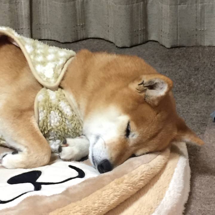 27885c77 1b44 476b a2e3 60267b7384ba 1516631544575