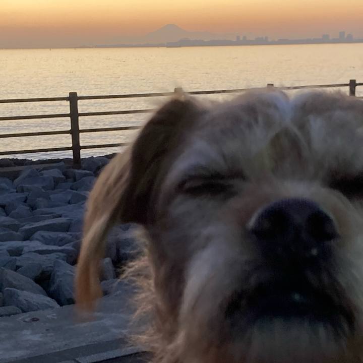 27889e4d 5ccb 4240 a14c 01ae77f45839 1700661873551