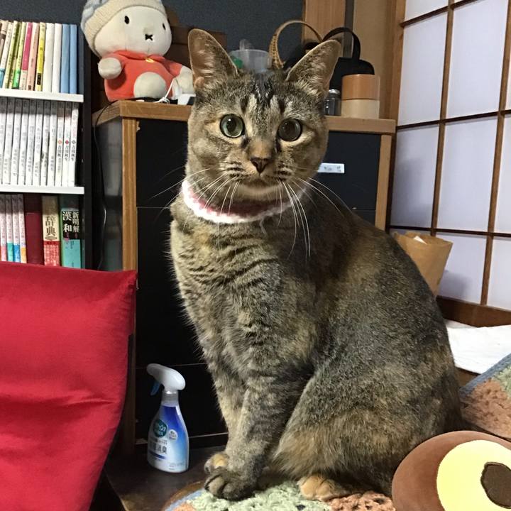 2788e303 22c2 4d0e 9bc1 469cedf09944 1691919112732