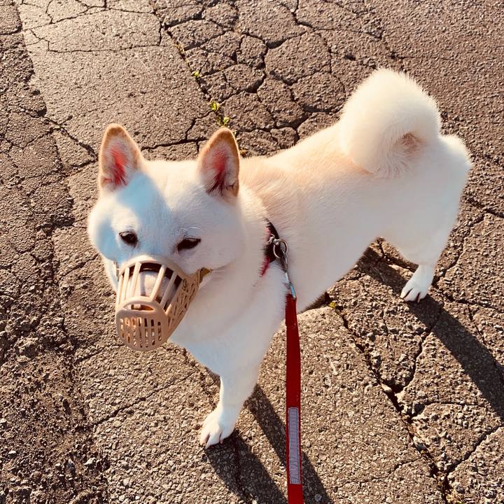 2788f47d ef39 459c 98b8 d53307862327 1569449502952