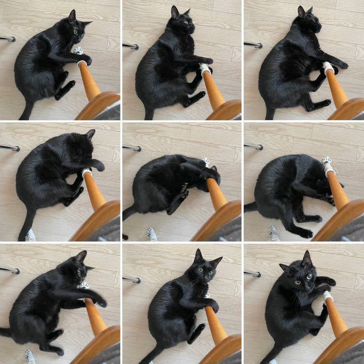 2789299a 97ad 44c2 a7ca ec97b20c07d6 1675938290805