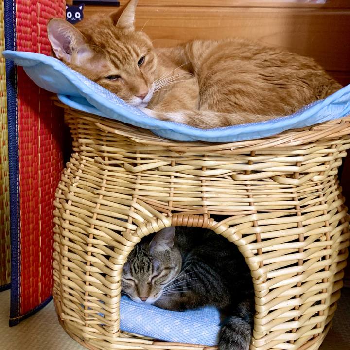 27894a85 0104 44fe 81ff fc8c074610c2 1621989176897