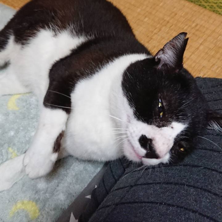 2789759a 5d18 4b28 ba04 9c8221853615 1539734947577