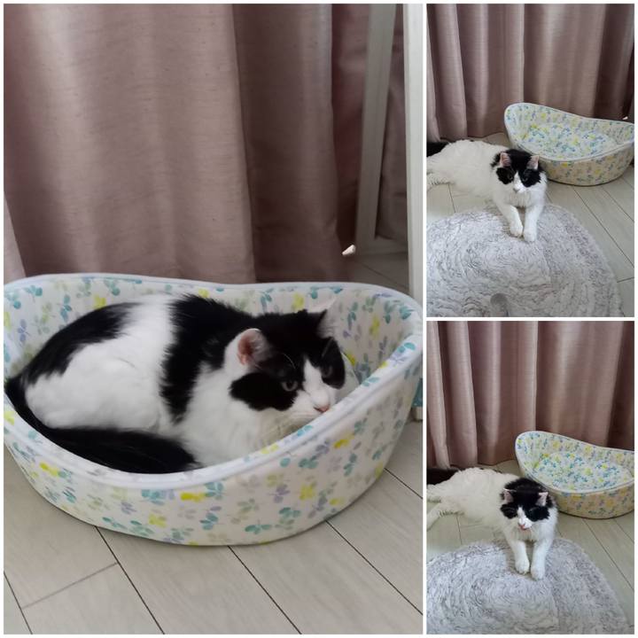 27899284 14c4 4076 b934 535985d905b7 1659303510826