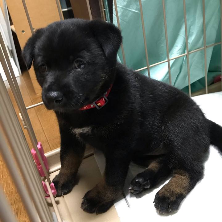 2789cb91 ffb5 4d26 9635 4d60f772a54f 1566991259309