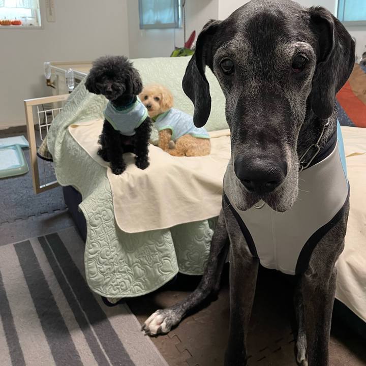 2789d68a f125 4158 b224 29f4c28ad309 1653951095288