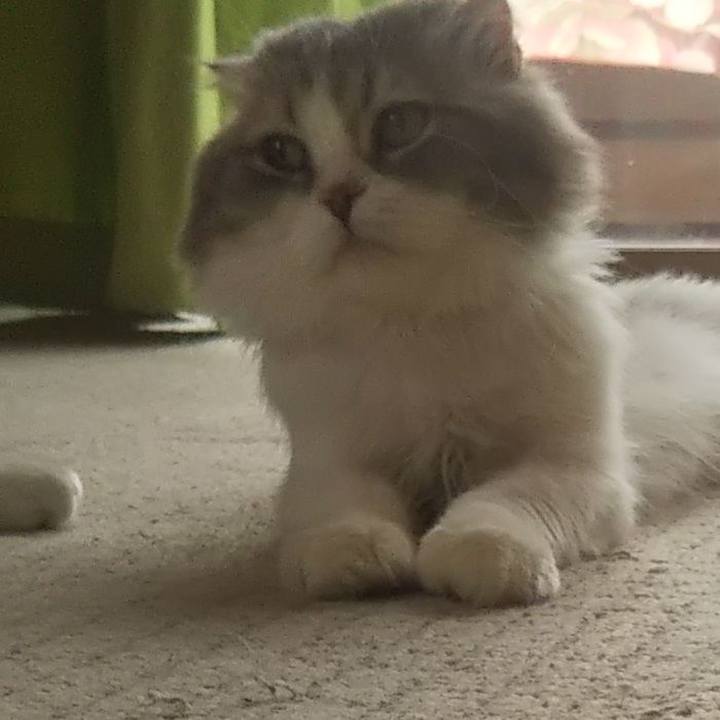 2789e672 b8f6 41b5 acfe 3355a942da41 1625281105693