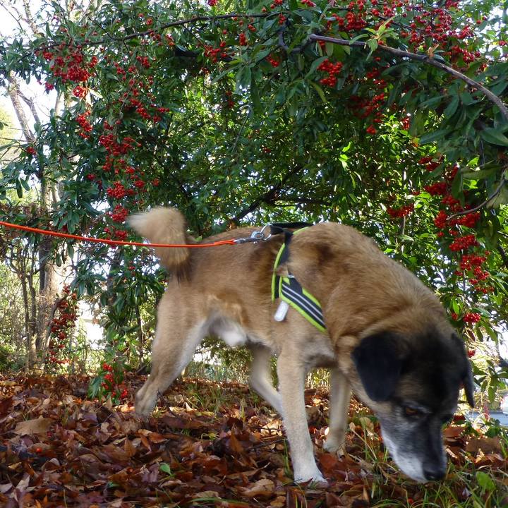 278a1084 d8b2 4c3f a7c9 7de10d596722 1581159357834