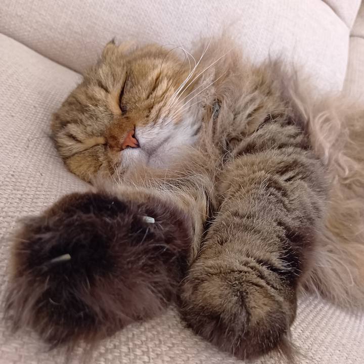 278a306d 8e5b 4367 adcc 0518018d3c92 1758413440088