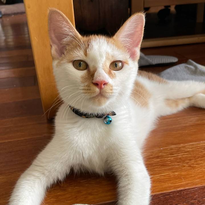 278a33ac f660 4edd ad2e 0cb5135ea0dd 1758962901759