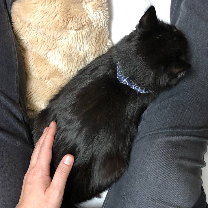 278a4c9a 044a 40d4 bbe0 9f784edb3fb5 1578139576013