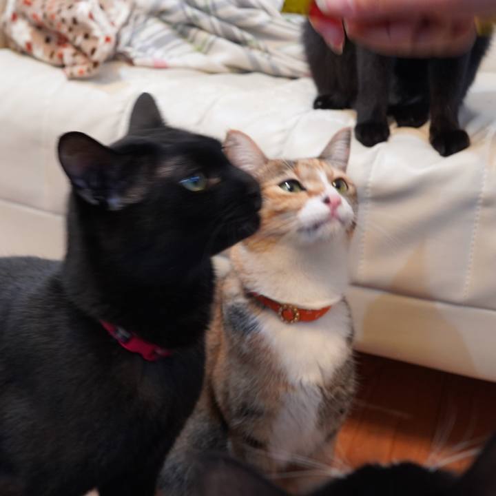 278a4f26 158a 4029 be61 671ba0ae522d 1607132854710