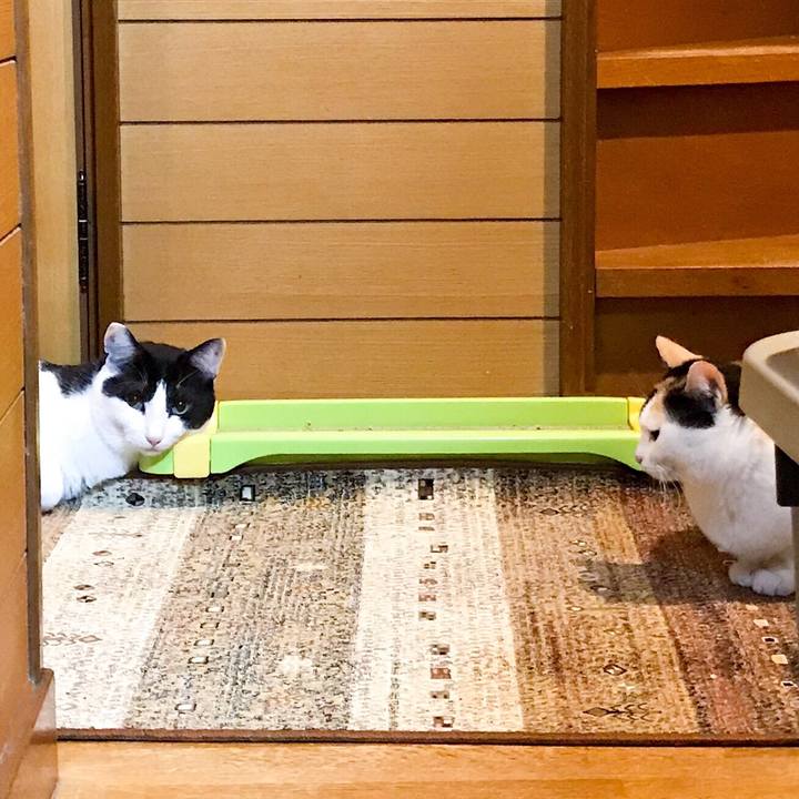 278a5231 6a57 4a9f b4e4 4b090a29dbee 1525356527338