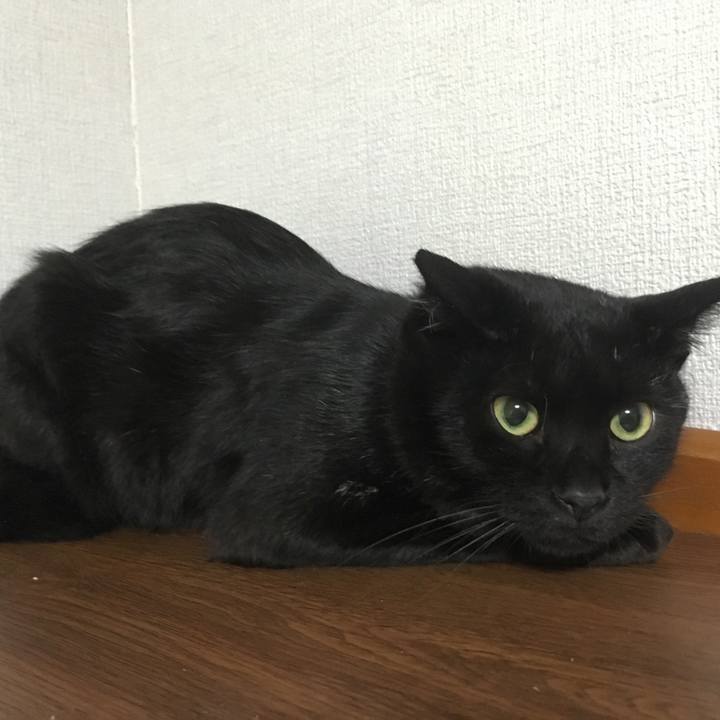 278a54cd 39bf 434d ad99 4462c9533132 1534421120114