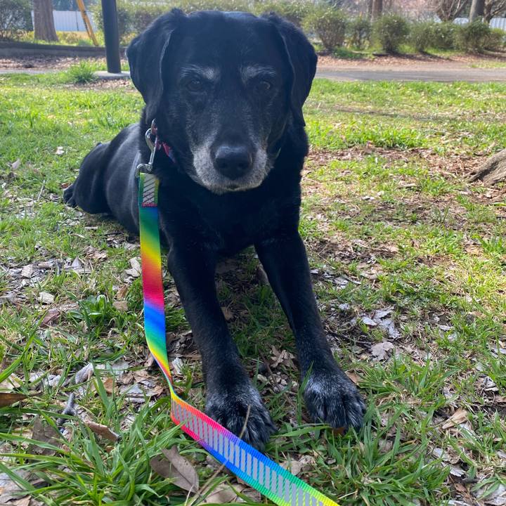 278a6971 b462 43ad b008 984bae1ed63c 1678842638342