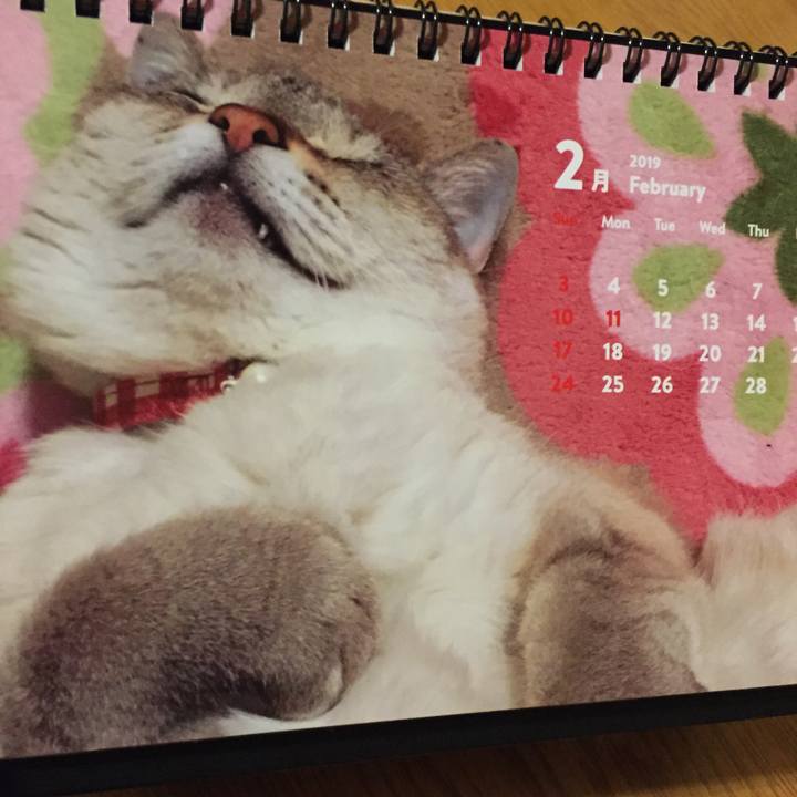 278a765d 2a2e 4b00 b296 a58f563412aa 1549019773951