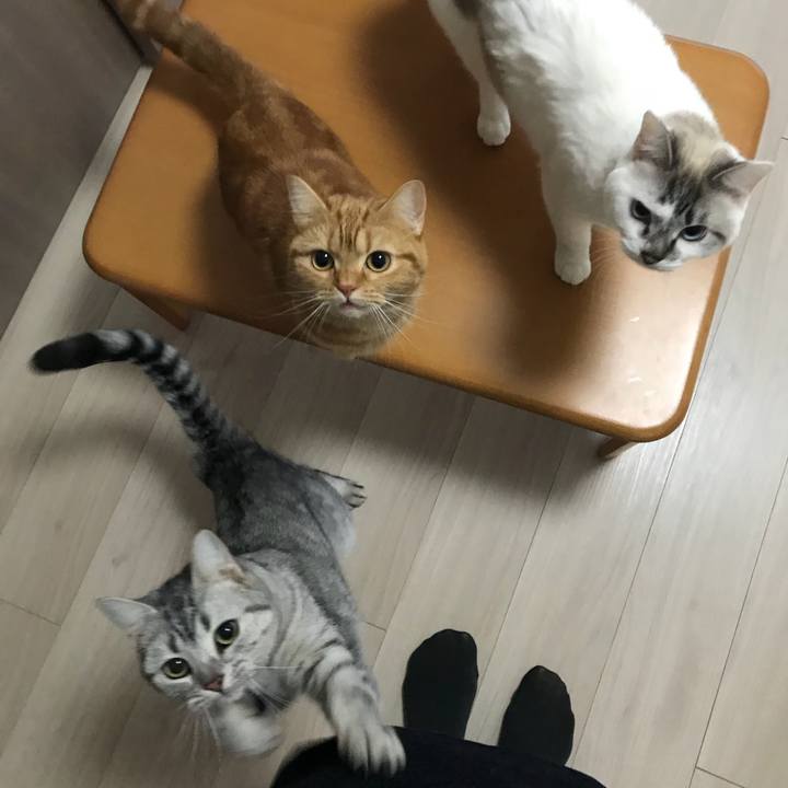 278a7883 4de0 41f3 b24a b9d91c9222fd 1517784568765