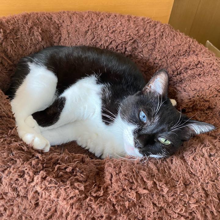 278a8846 4260 4277 b86a 35099b0ba4fc 1668412863083