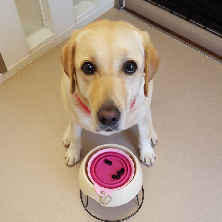 278a90a9 9ea4 4a48 a131 22ce8f5833a6 1532228467168