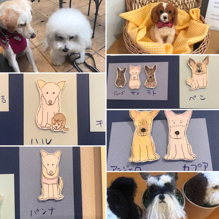 278b7b61 c135 435a bb0b cc46035ca693 1540133269365