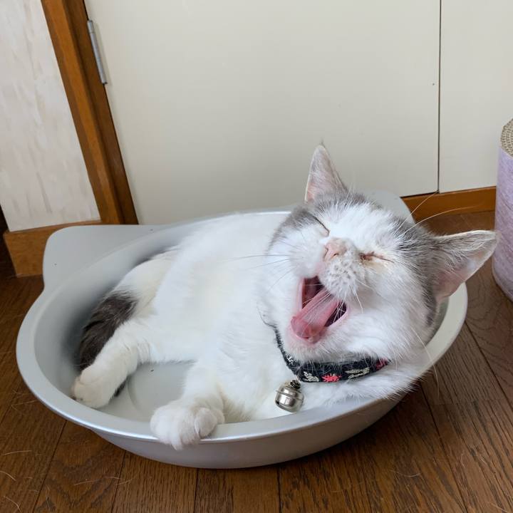 278bb86d e0e4 4629 8ccc 5c708e10d485 1599357316519