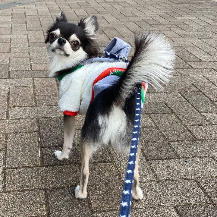 278bd5fb 6e09 490c b4b5 d0293389140b 1641113017036