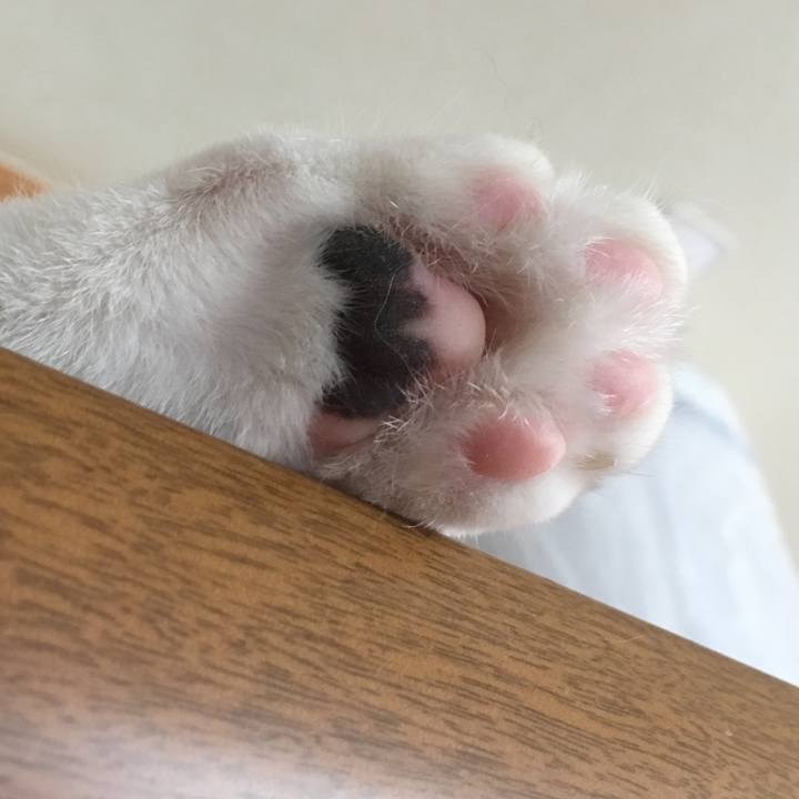 278bf960 9a52 4b24 a5c4 66792597e792 1535172214151