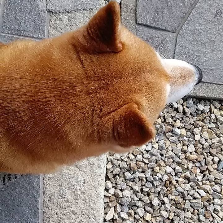 278c03b8 be5e 4f6d b62b ced8ad0f8f1c 1687491808041