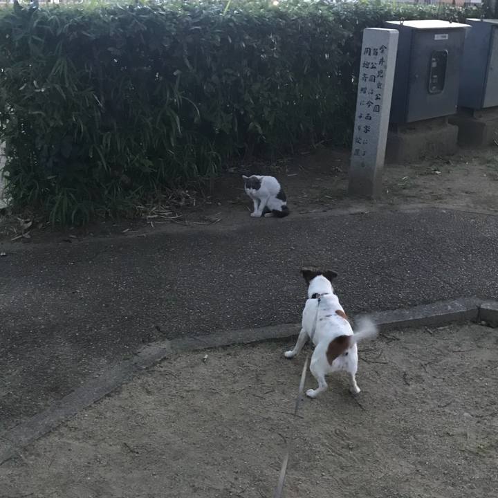 278c608b 6980 42d5 8e8f 3301d6f54f39 1530452725523