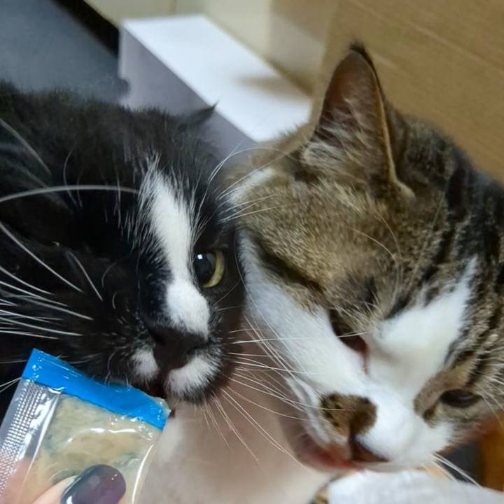 278c6f6b 3659 41c0 80ff 74387dd1898d 1718018556172