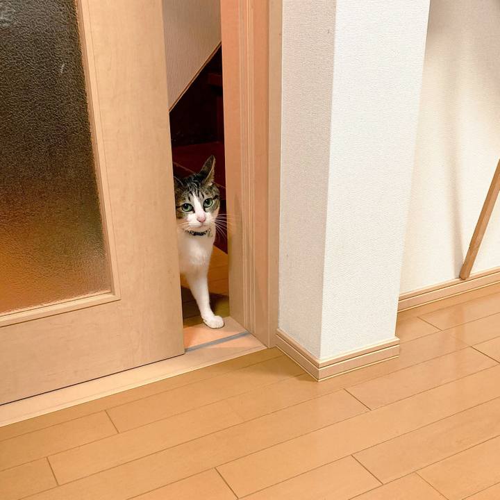 278ca3b2 fbd6 4158 977d f3972134b23a 1544095163689