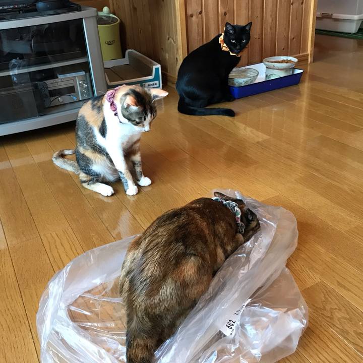 278cfc17 e1e1 4b11 b74b 089202c3ed6c 1629792547056