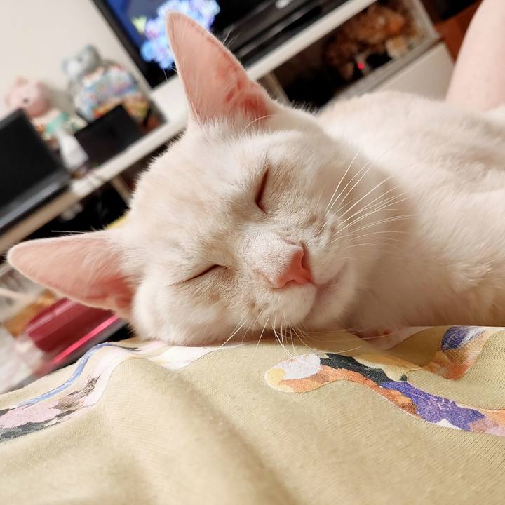 278d05f9 90ab 4eeb bfb1 533c0def7080 1629039612154