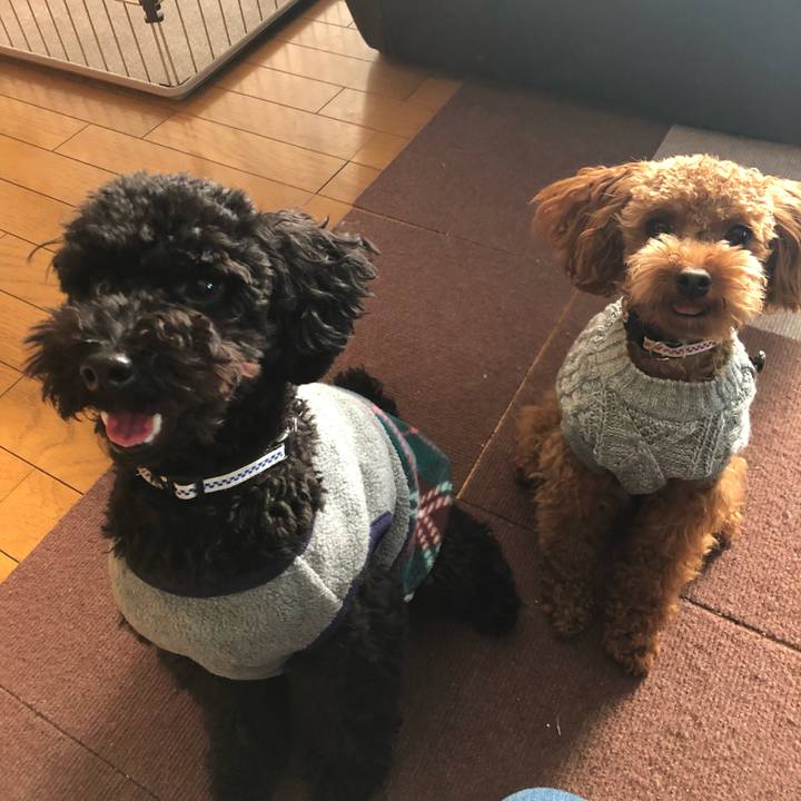 278d51b3 5591 44a4 b775 80d847976522 1511571475414