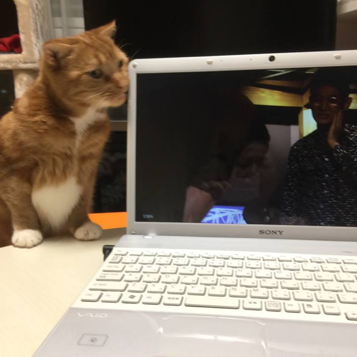 278d893c 98fe 4cbd ac58 c35de5ace16a 1560692754992